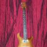 Paul Reed Smith Custom 22