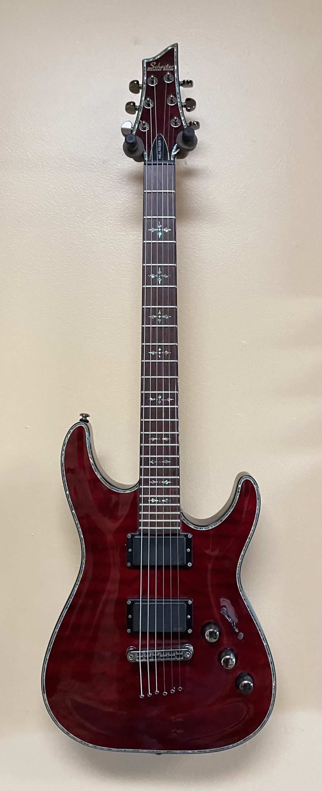 schecter hellraiser case