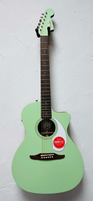 Fender Newporter Player