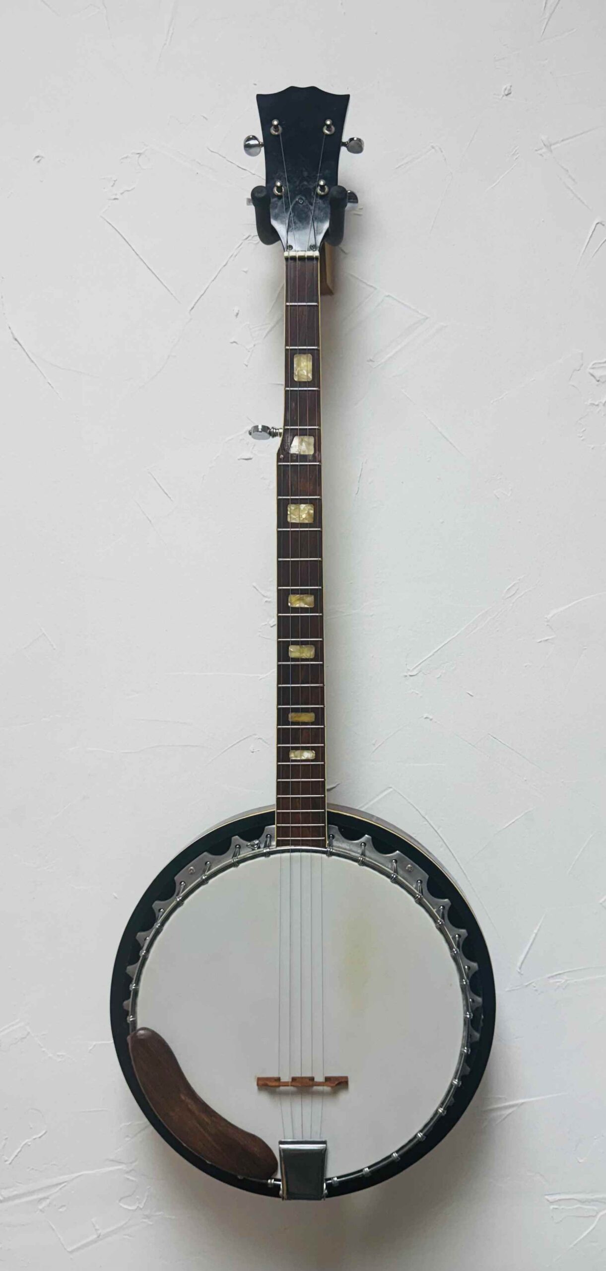 Global Banjo USED