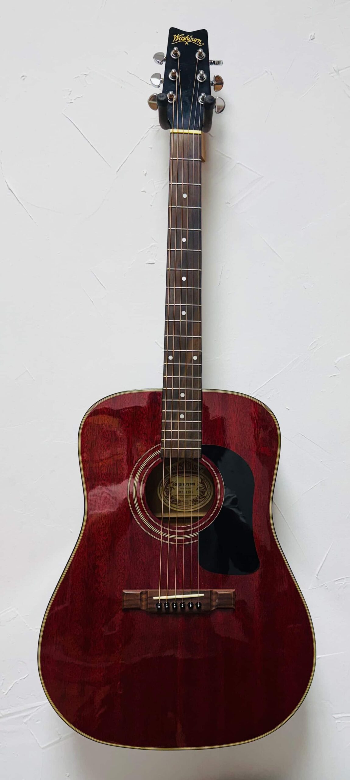 Washburn D-10 USED