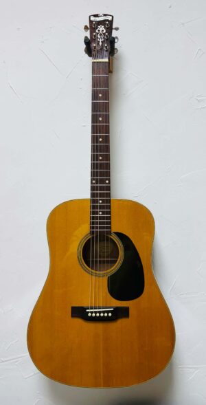 Blueridge BR-60 USED
