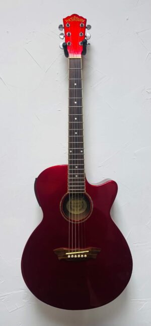 Washburn EA16MC USED