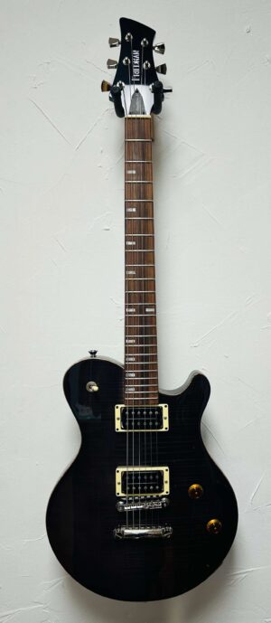 Friedman Metro D USA Made Electric USED w/Case