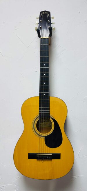 Montana MT-102N USED