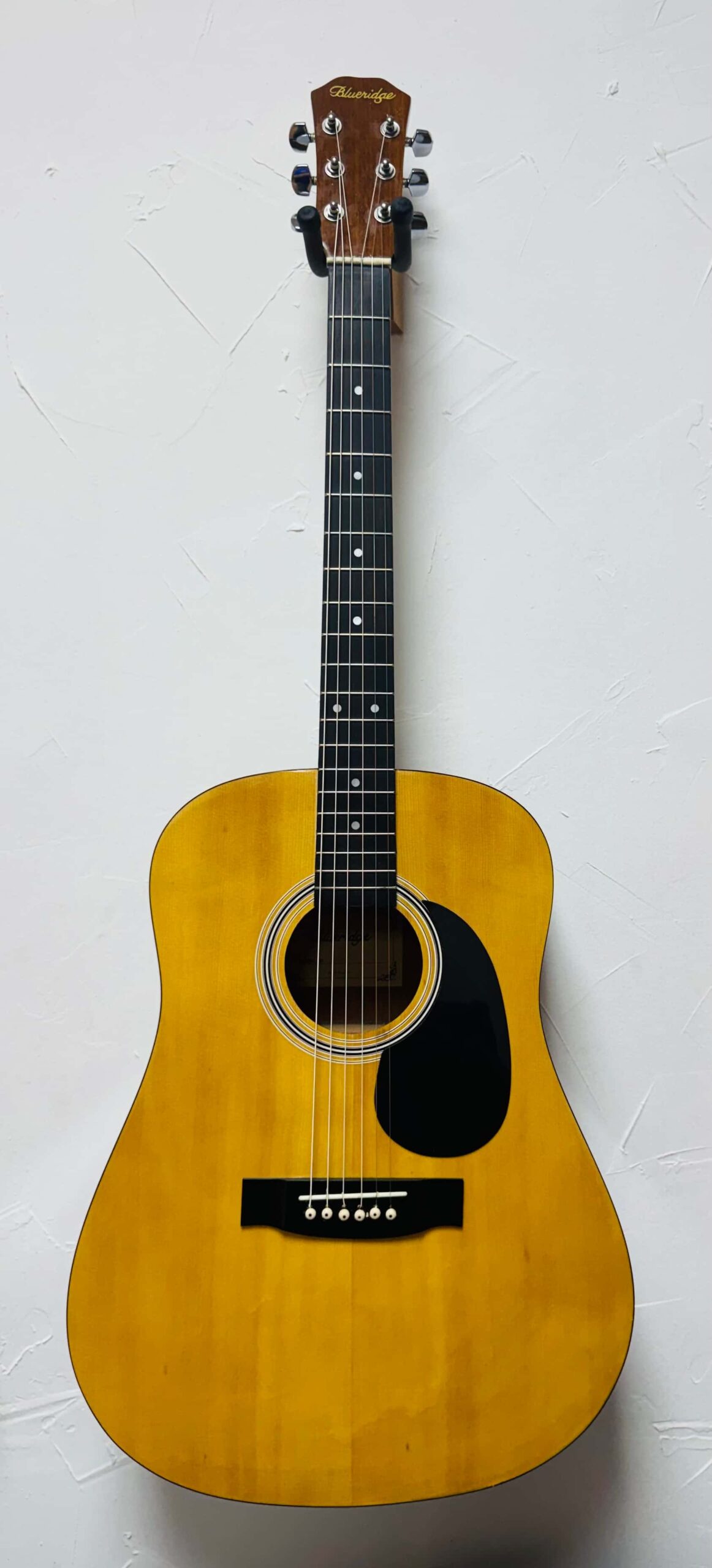 Blueridge BR-05 USED